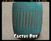 *Cactus Pot