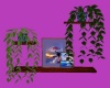 Shelf w/Pics & Plants
