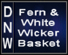 White Wicker Fern