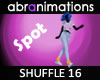 Shuffle Dance 16 Spot
