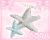 ♡ Starfish ♡
