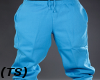 (TS) Sky Blue Sweatpants