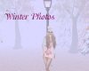 AV Misty Winter Photos