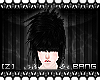 [Z] Faux Hair l Bang