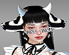 horns cow white