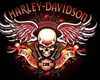Harley Wings