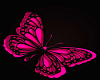 [Ay] Pink ButterfliesPVC