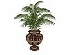 DW® Palm Plant