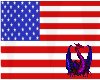 US Wall Flag
