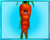 Mens Carrot Outfit