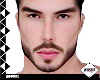 ⩖ THEO MH T1