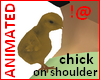 !@ Chick on the shoulder