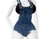 Overall Shorties