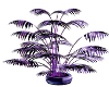 Fel's Purple Plant