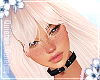 Nyane Vanilla | Q
