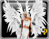 *cp*Angel Wings Animated