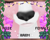 ꨄBlossom Calf Noseꨄ