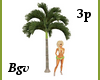 Beach Palm Tree 3Poses
