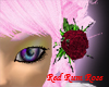Red Rum Rose