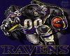 OA_Ravens
