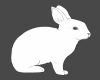 Casaco Bunny