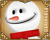C~DRVB Pet Snowman