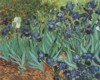 Irises - van Gogh