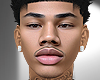 Gerre Skin