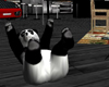 cute giant panda pet