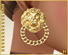 Lioness v3