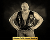 Stone Cold HOF Poster