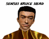 SENSEI BRUCE HEAD