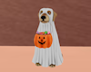 Puppy Trick Or Treat Boo