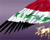 Wing's Iraq flag