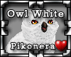 !Pk Pet Owl White