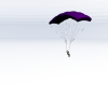 Real Animated Parachute