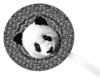 Panda's Lollipop