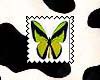Green Butterfly 1