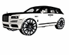 ANIMATED ADD ON RIMS