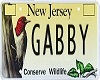{v} Gabby Licence Plate