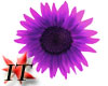 [IT] Med Purple Flower 