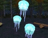 Deep sea jellyfish