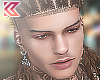 Brwn Long Braids