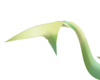 Harua tail v2
