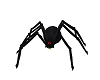 Halloween Black Spider