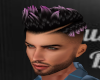 Beckham-Black Violet