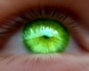 |Emerled green|Eyes|