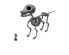Dead Dog