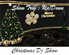 Christmas Dj Show