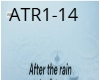 AFTER THE RAIN